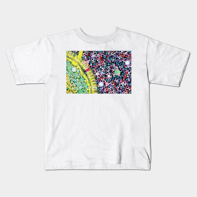 Antibodies in action, artwork (P270/0064) Kids T-Shirt by SciencePhoto